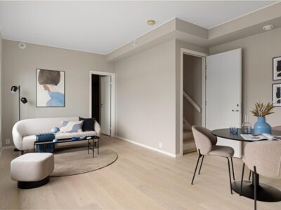 3BHK Fully Furnished Flat for Rent in Paldi