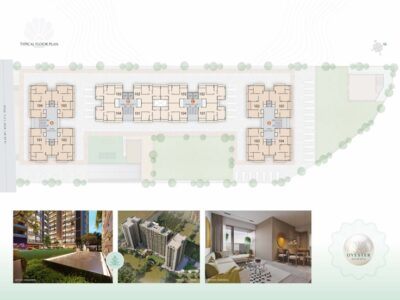 Oyester Heights Juhapura