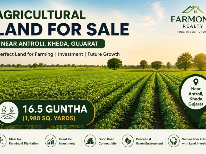Agricultural Land for Sale Near Antroli, Kheda | 16.5 Guntha Farm Land in Gujarat